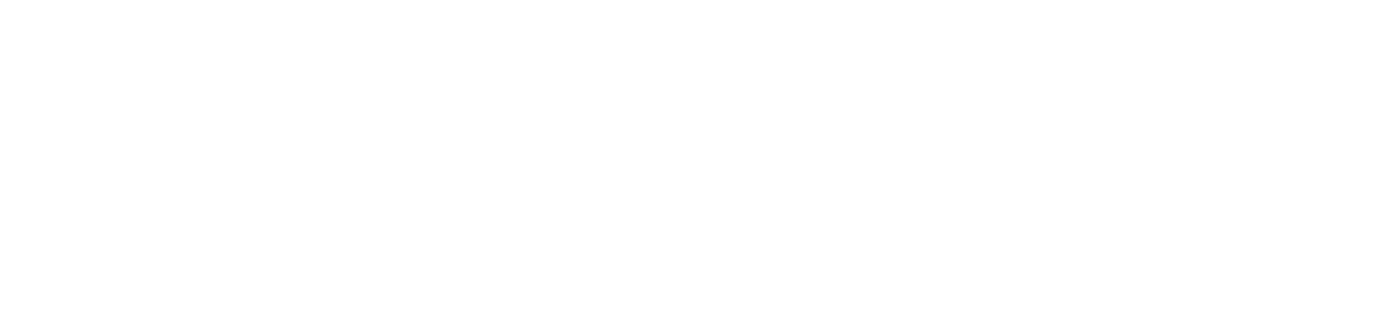 Fabio Bussola Logo White